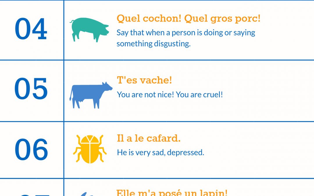 10 French expressions with animals