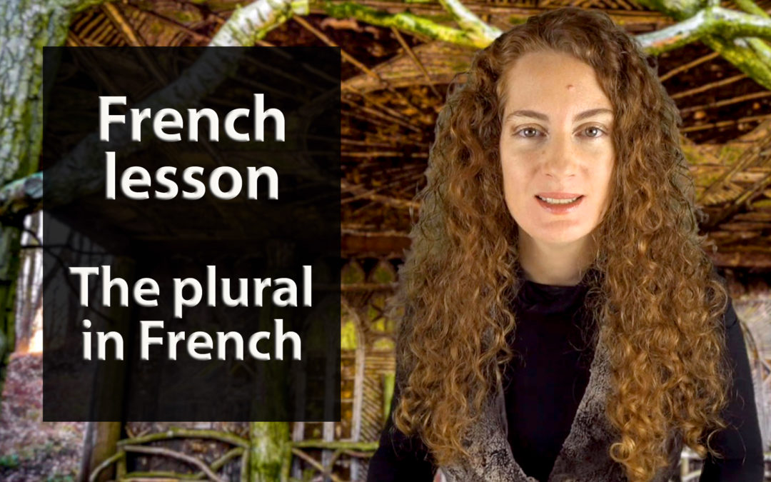 Plural of nouns and adjectives in French