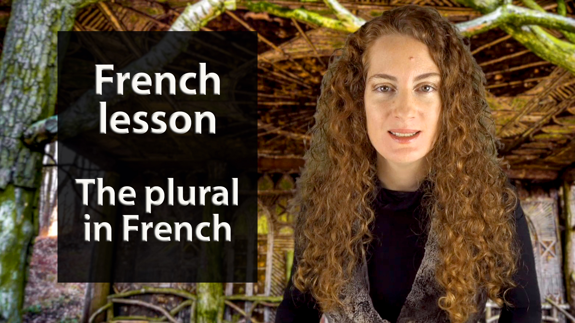the-plural-in-french-youtube