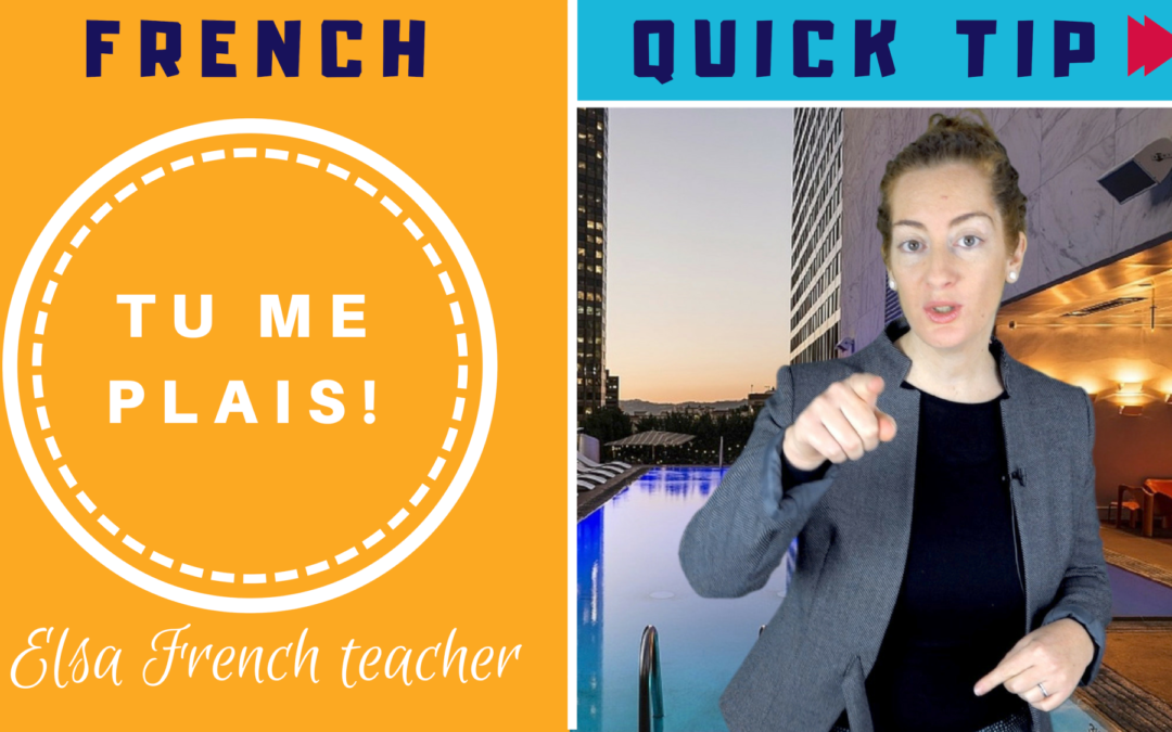 How to use the verb PLAIRE in French